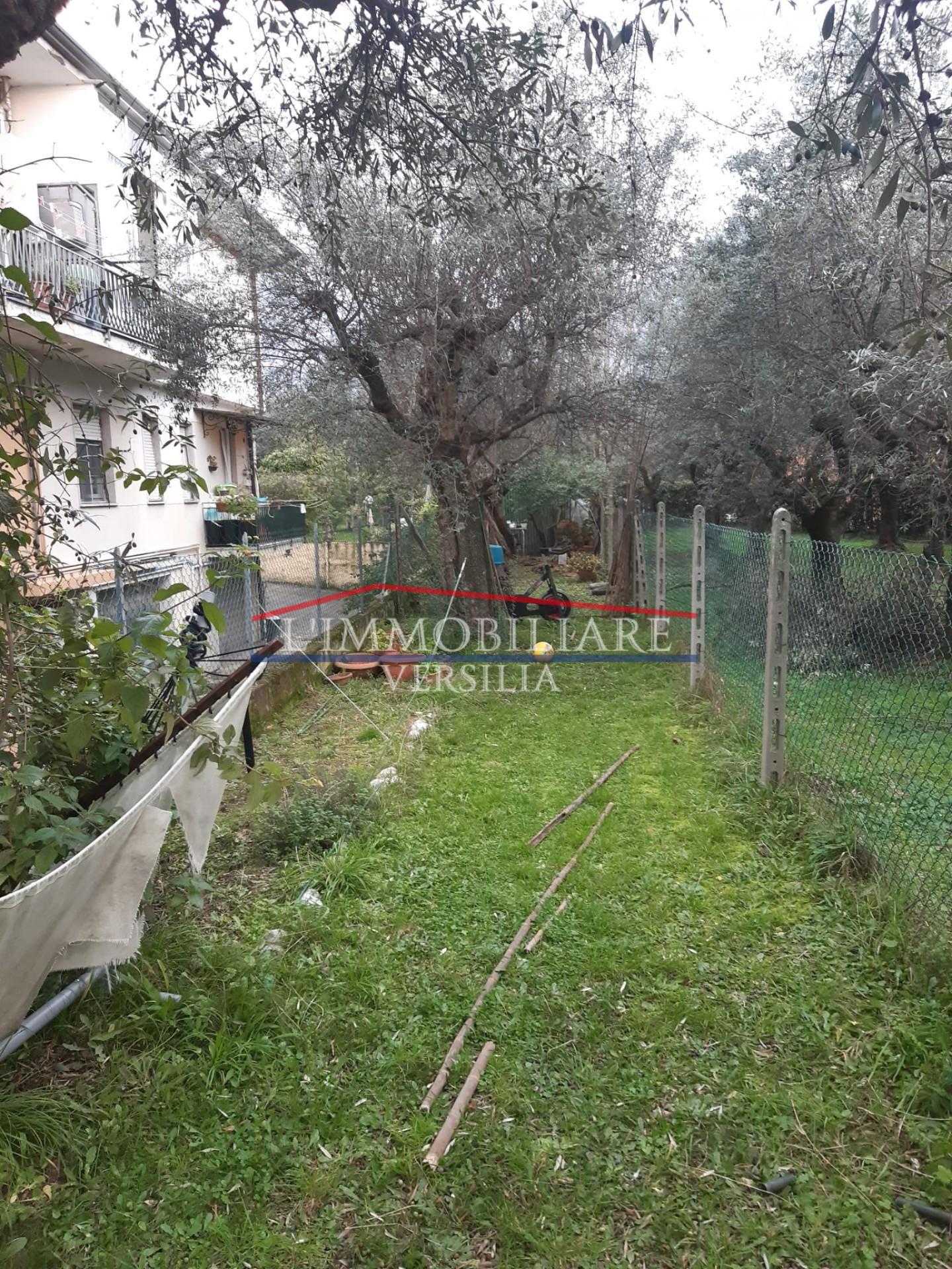 Villa Bifamiliare in vendita, Seravezza ripa