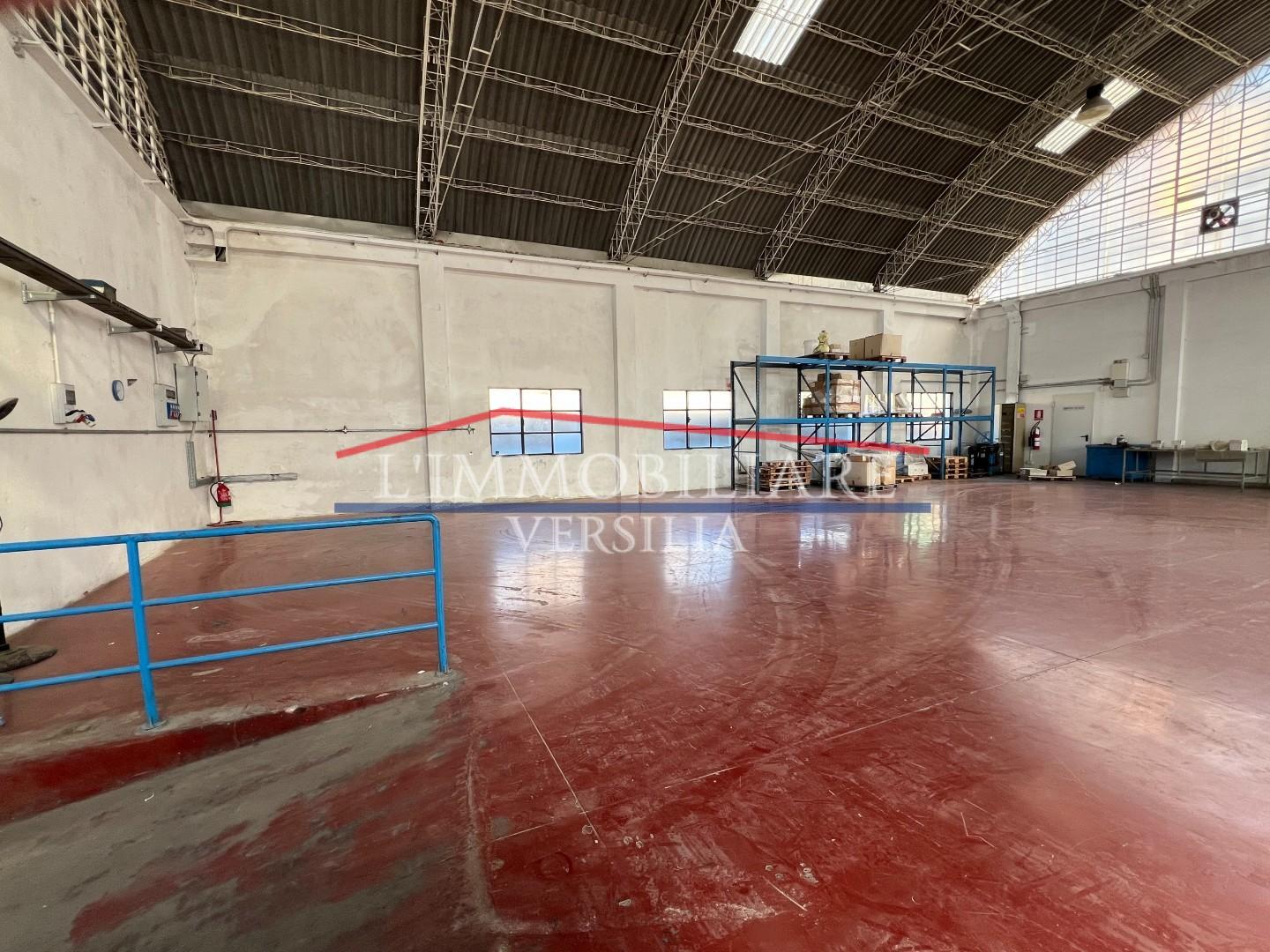 immagine annuncio 5 di 6