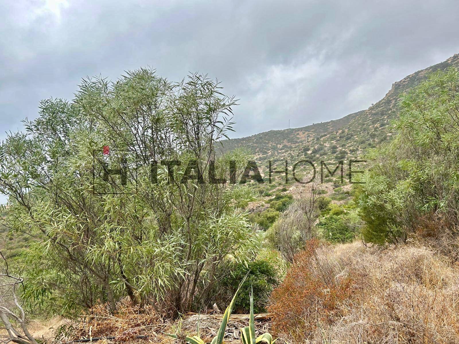 Terreno Agricolo in vendita a Villasimius