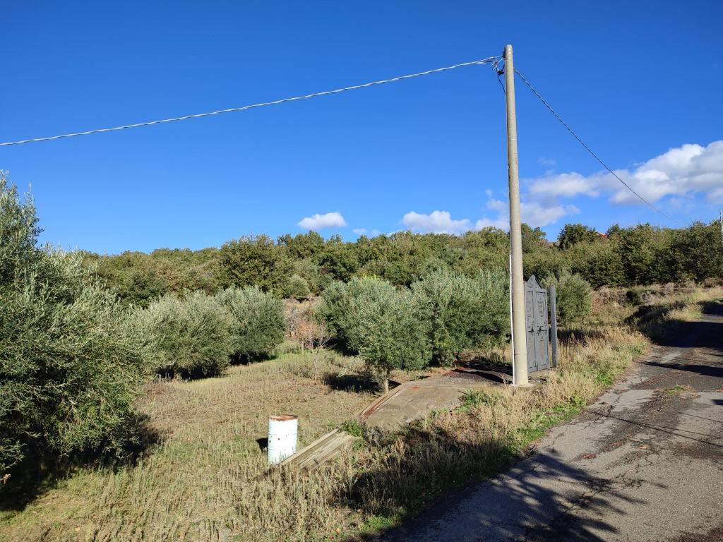 immagine annuncio 1 di 6