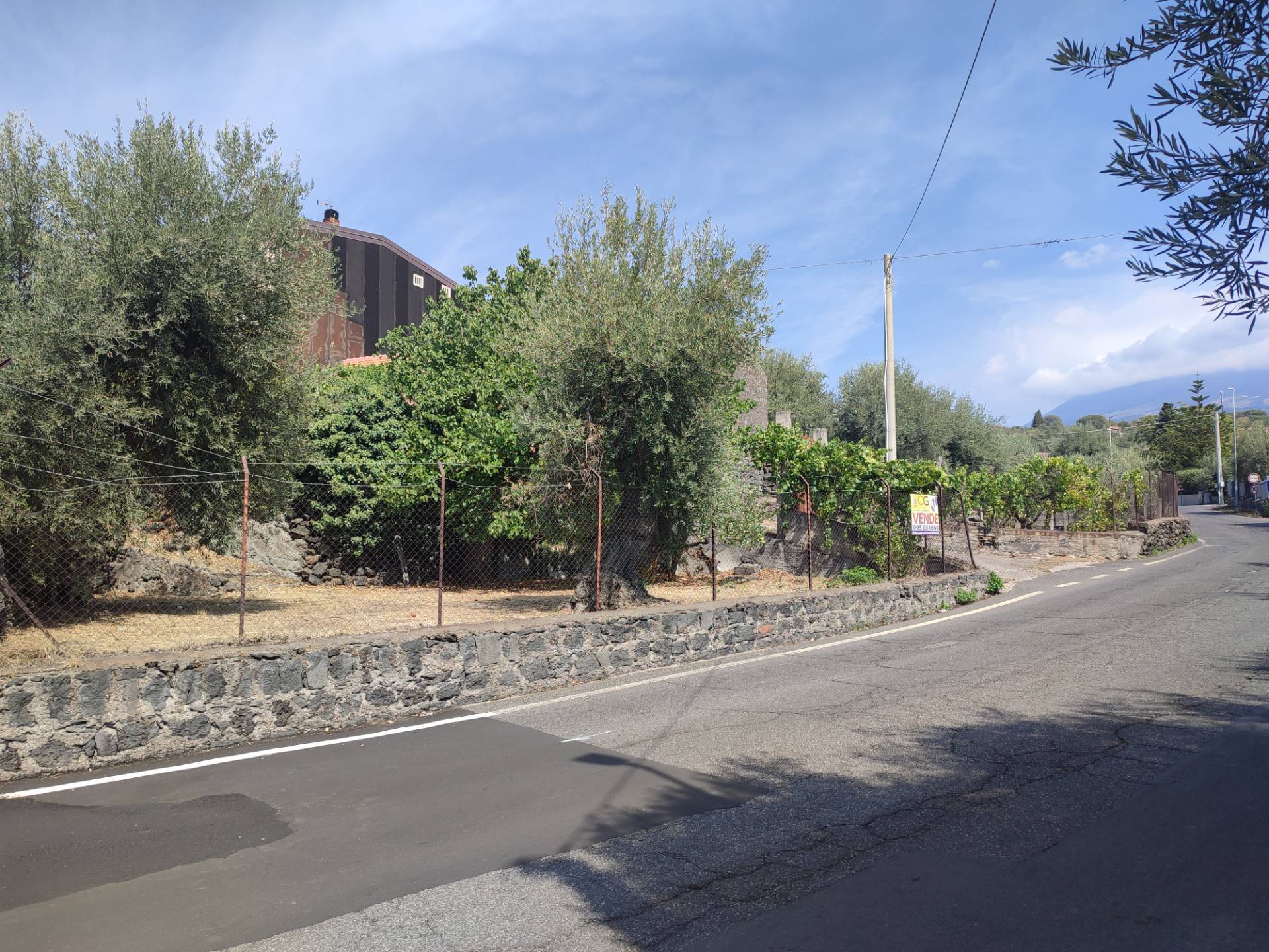 immagine annuncio 1 di 6