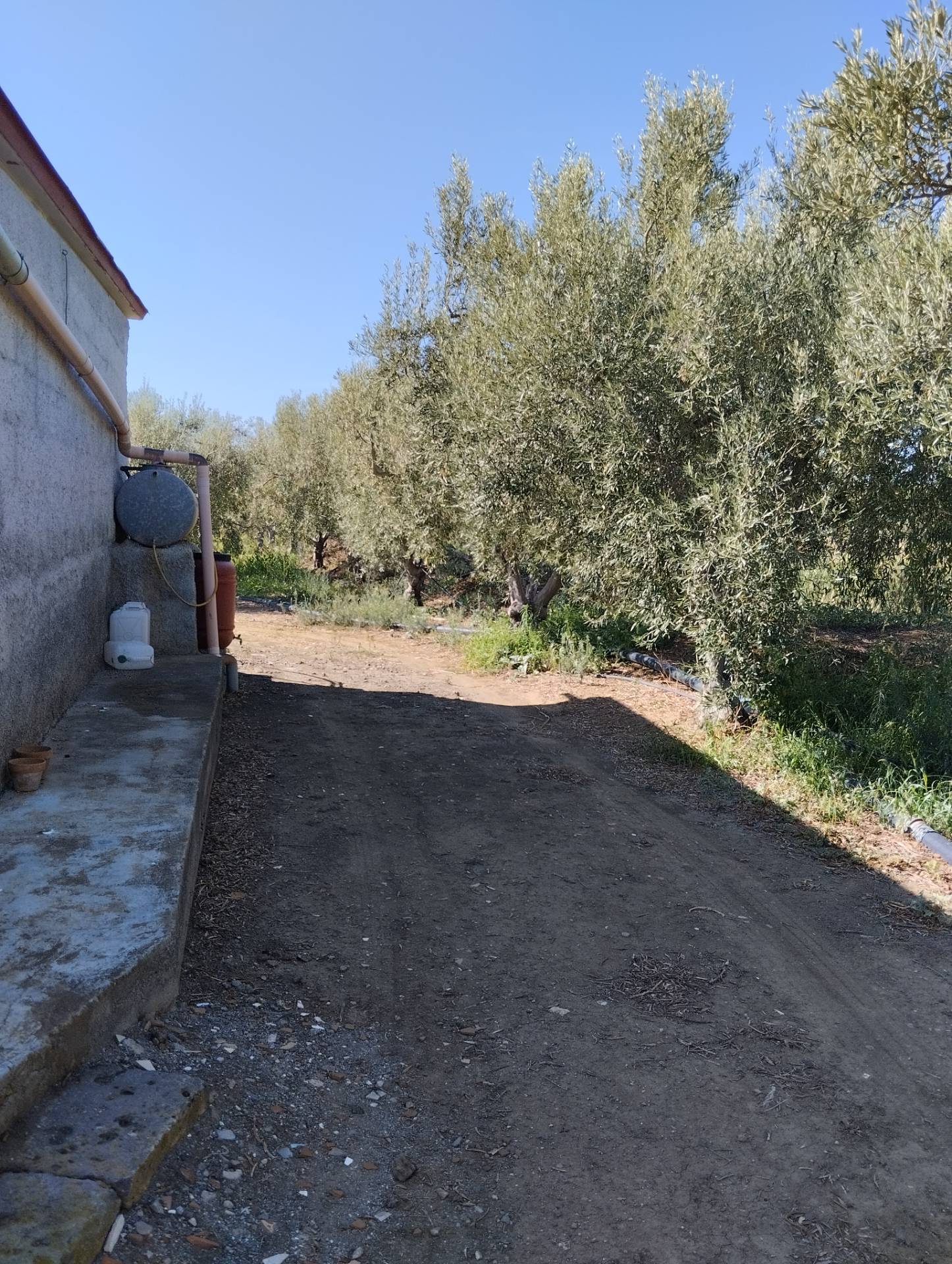 Terreno Agricolo in vendita a Ramacca
