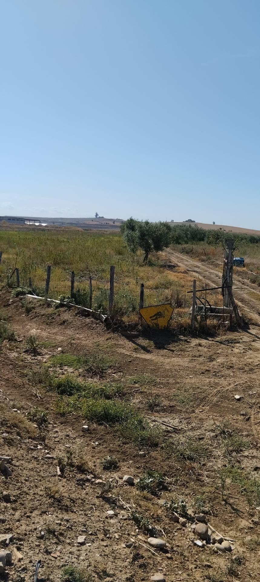 Terreno Agricolo in vendita a Ramacca