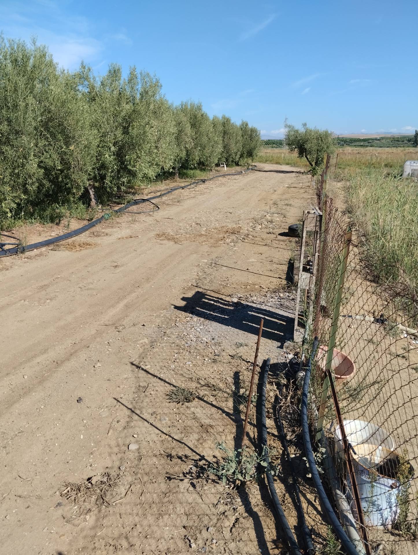 Terreno Agricolo in vendita a Ramacca