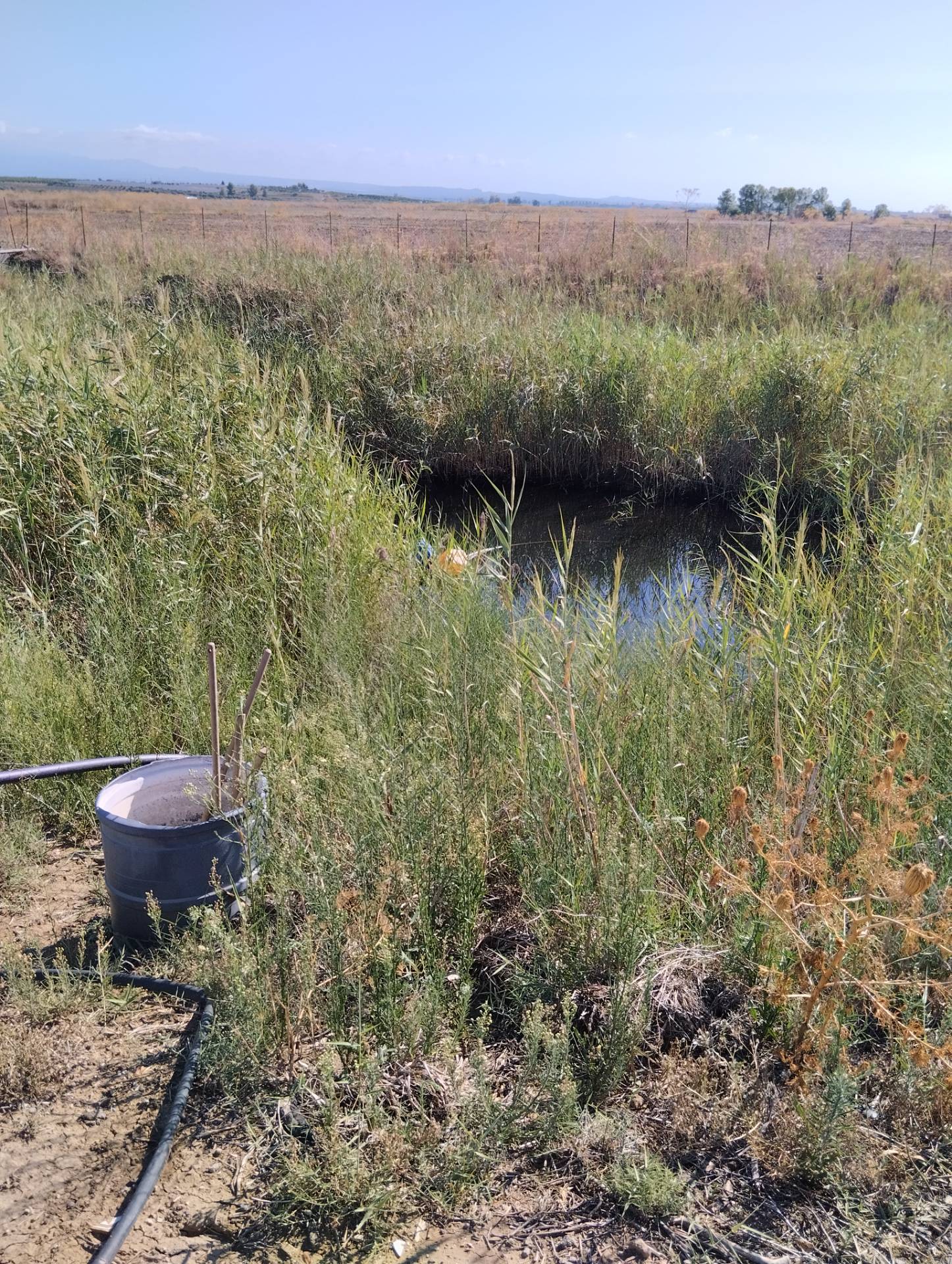 Terreno Agricolo in vendita a Ramacca