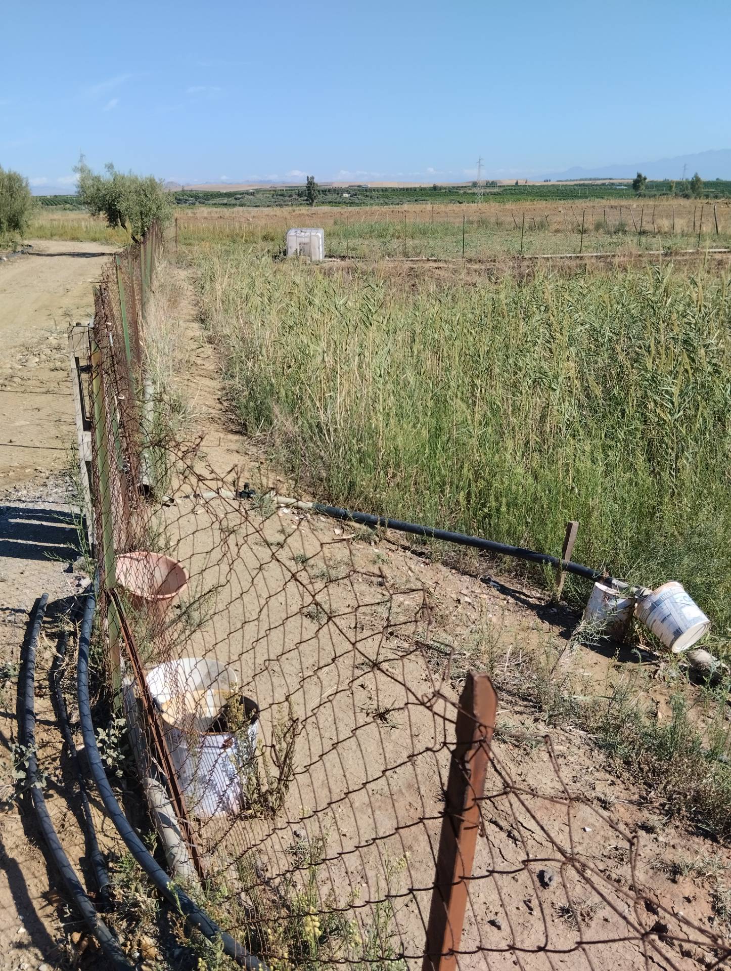 Terreno Agricolo in vendita a Ramacca