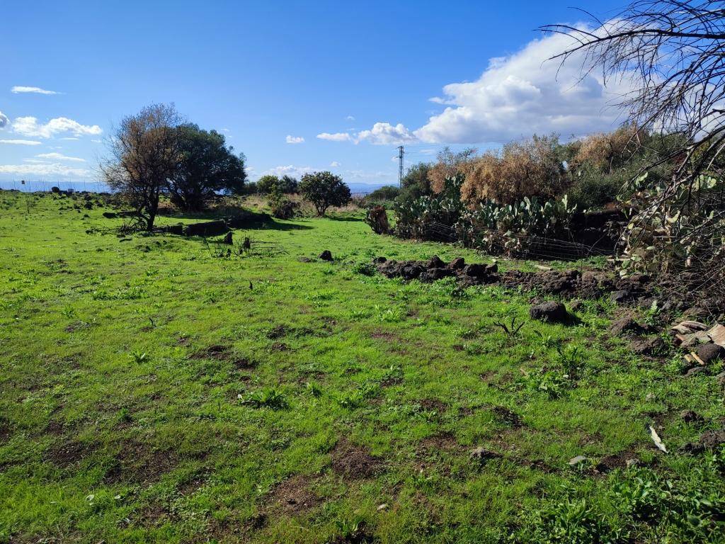 Terreno Agricolo in vendita a Patern, zona Scalilli