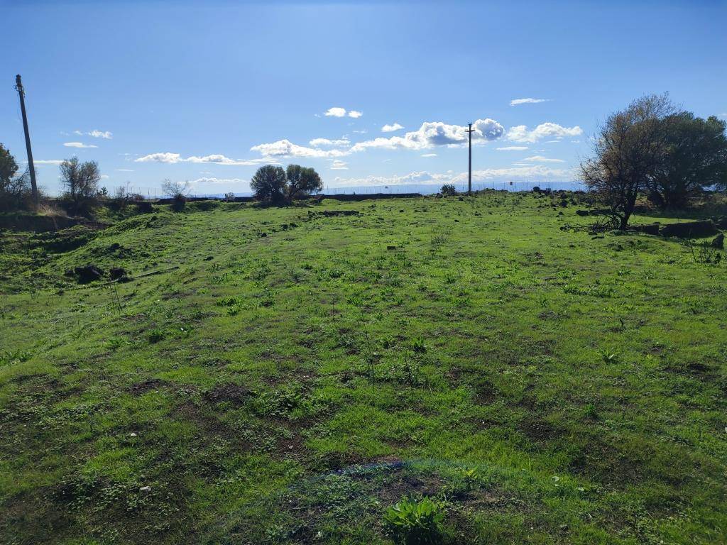 Terreno Agricolo in vendita a Patern, zona Scalilli