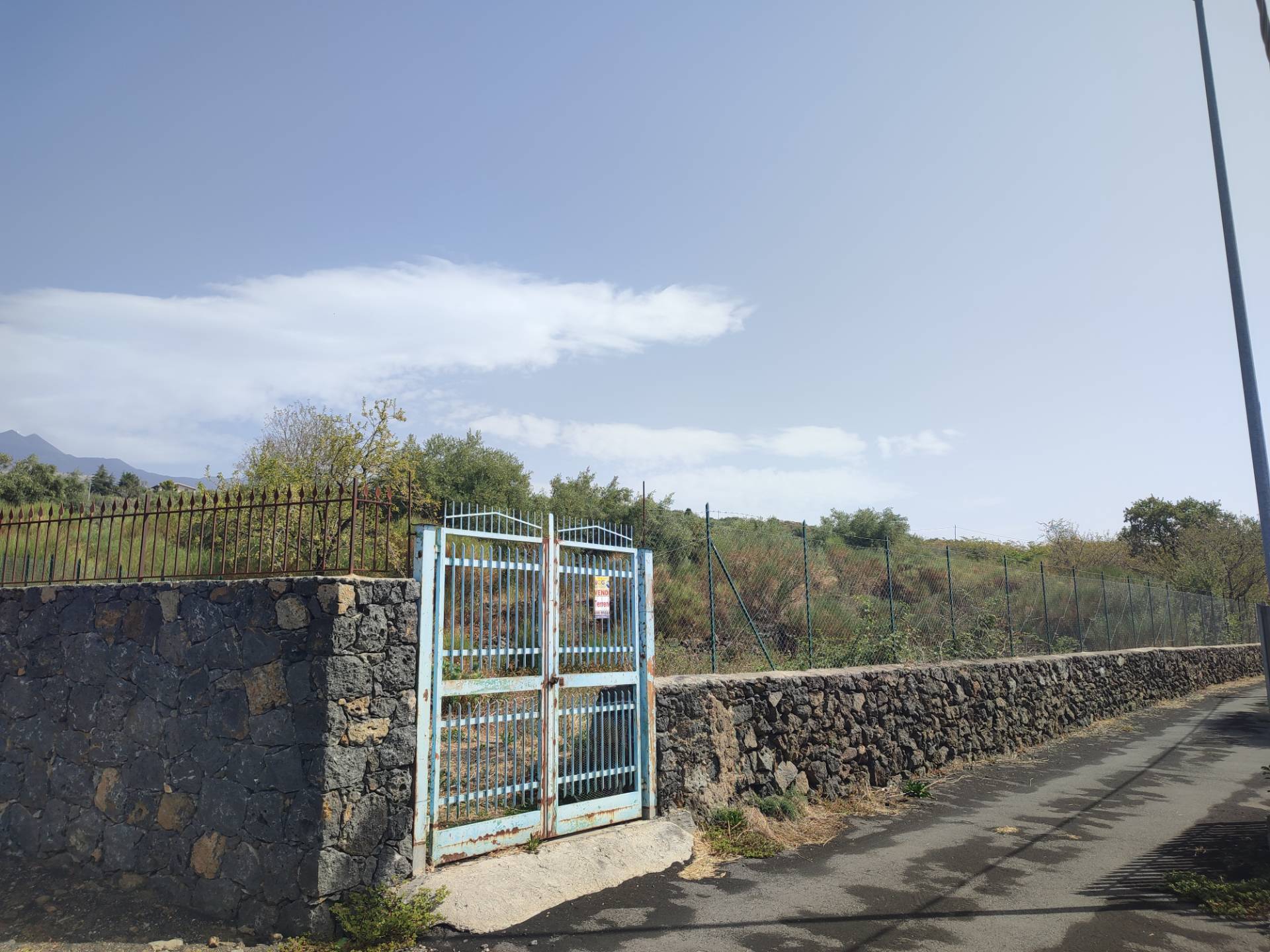 Terreno Agricolo in vendita a Santa Maria di Licodia