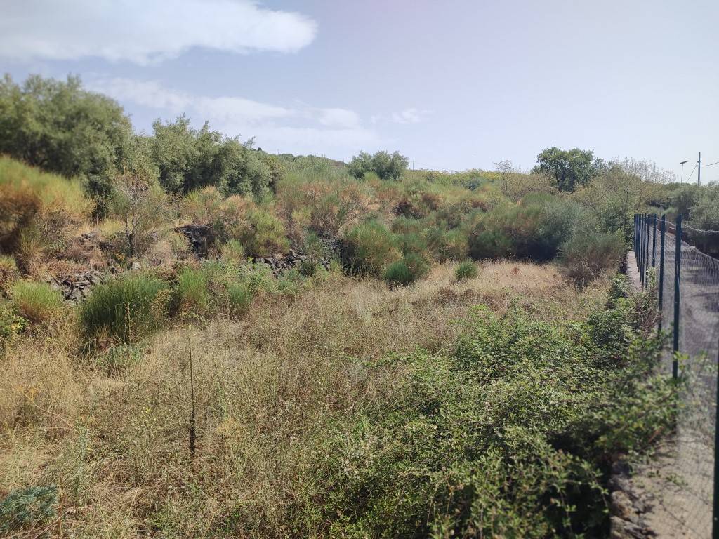 Terreno Agricolo in vendita a Santa Maria di Licodia