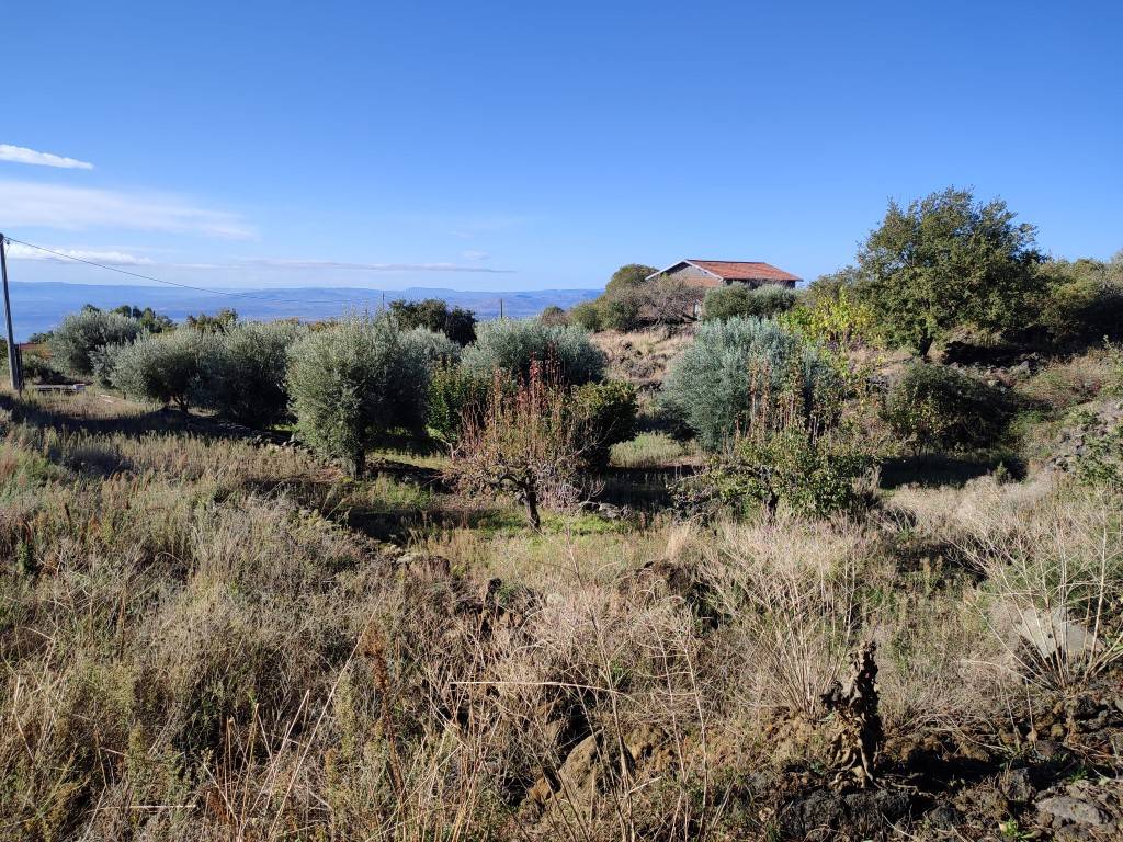 Terreno Agricolo in vendita a Ragalna
