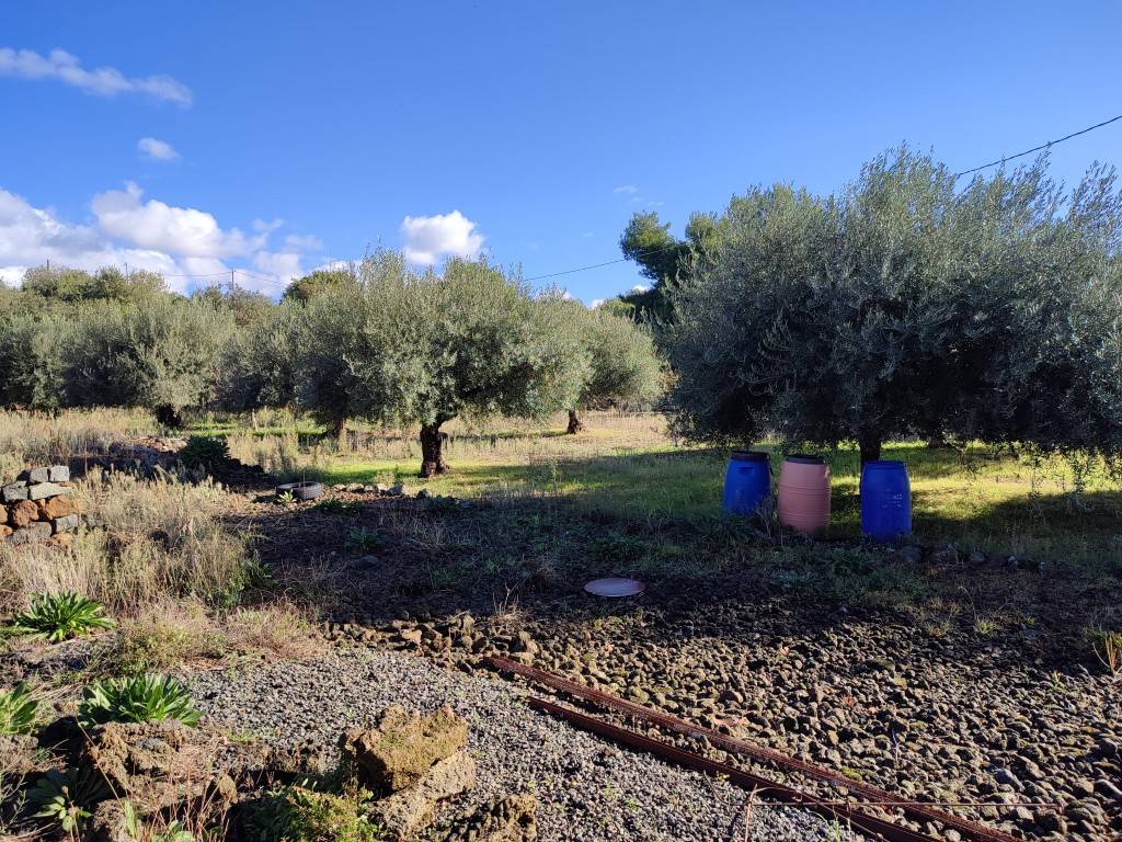 Terreno Agricolo in vendita a Ragalna