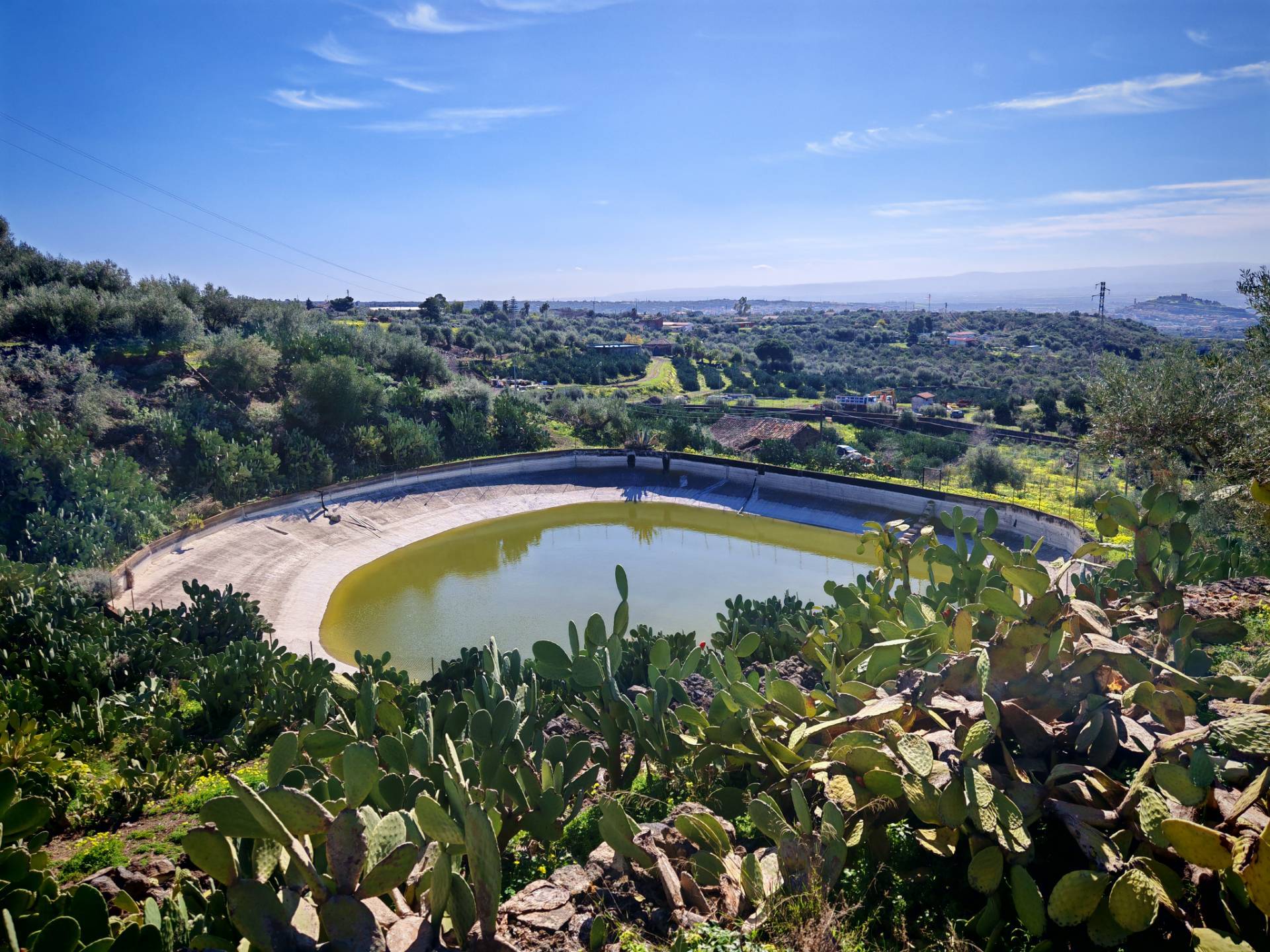 Terreno Agricolo in vendita a Santa Maria di Licodia
