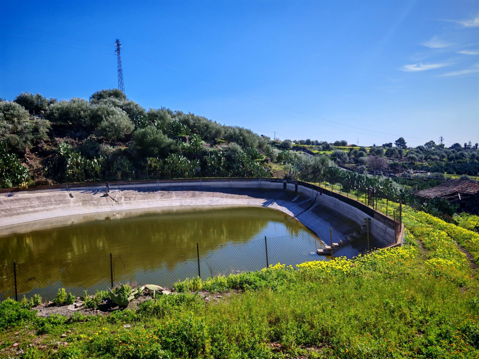 Terreno Agricolo in vendita a Santa Maria di Licodia