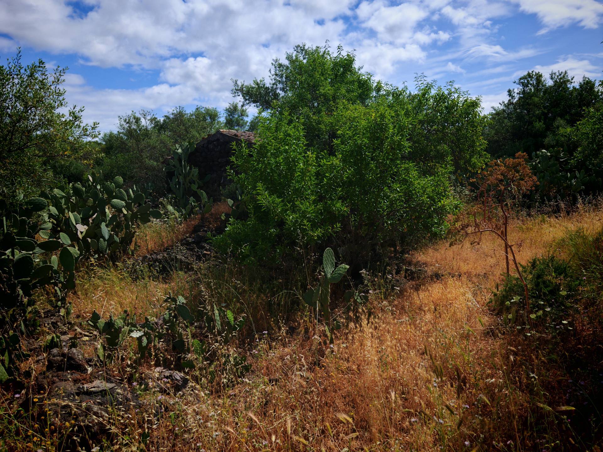 Rustico in vendita a Patern