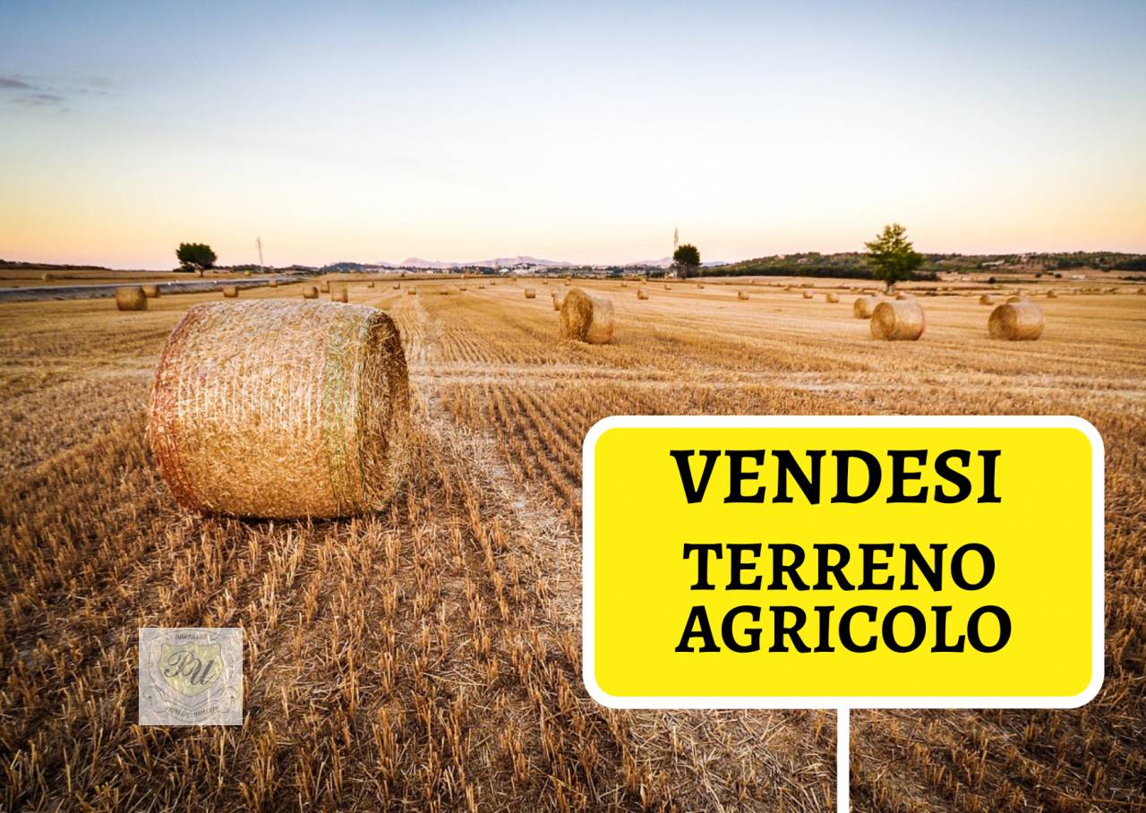 Terreno Agricolo in vendita a Premariacco