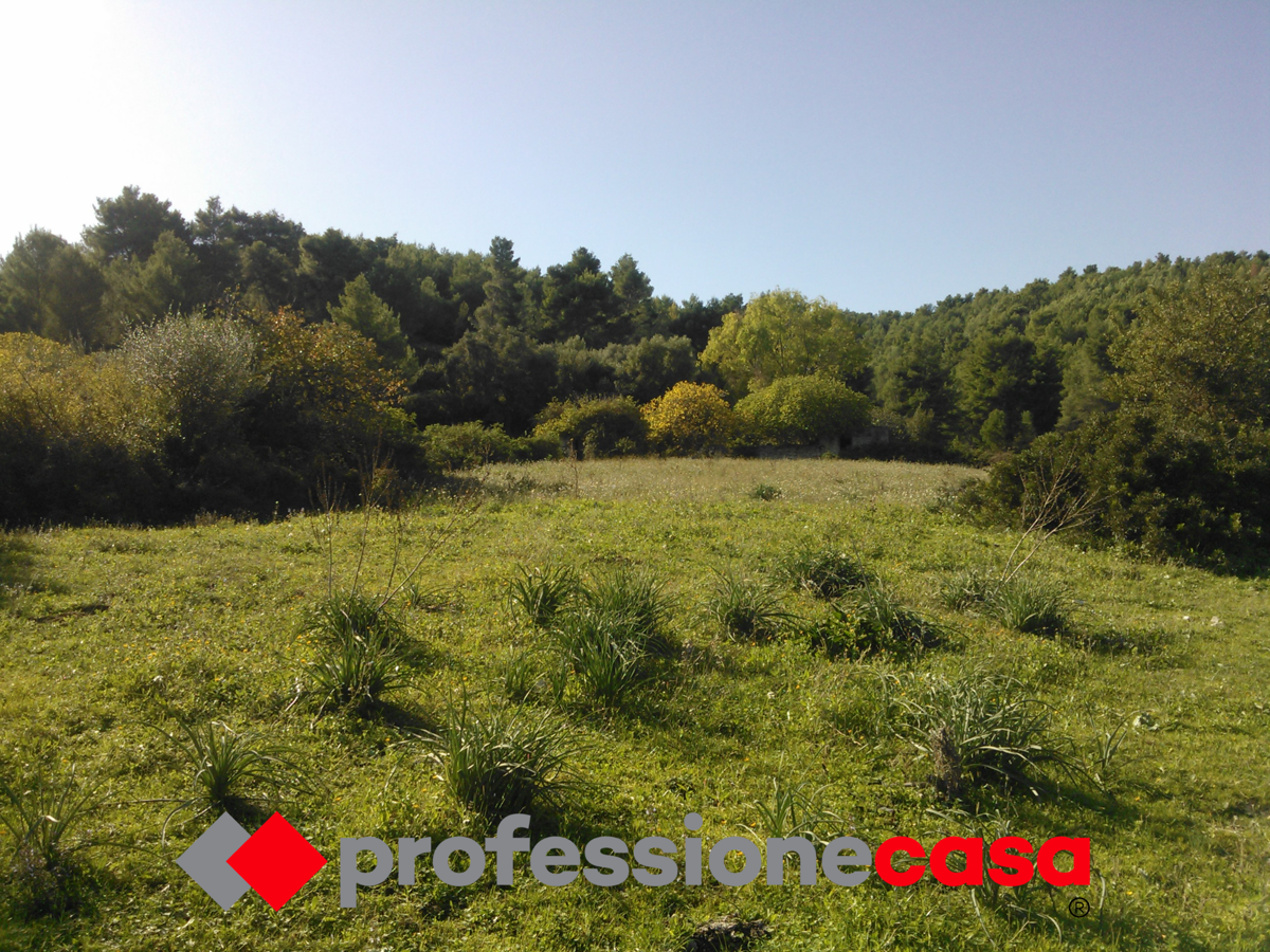 Terreno Agricolo in vendita a Vieste