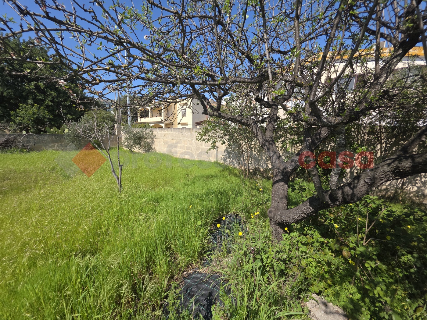 Terreno Agricolo in vendita a Taranto