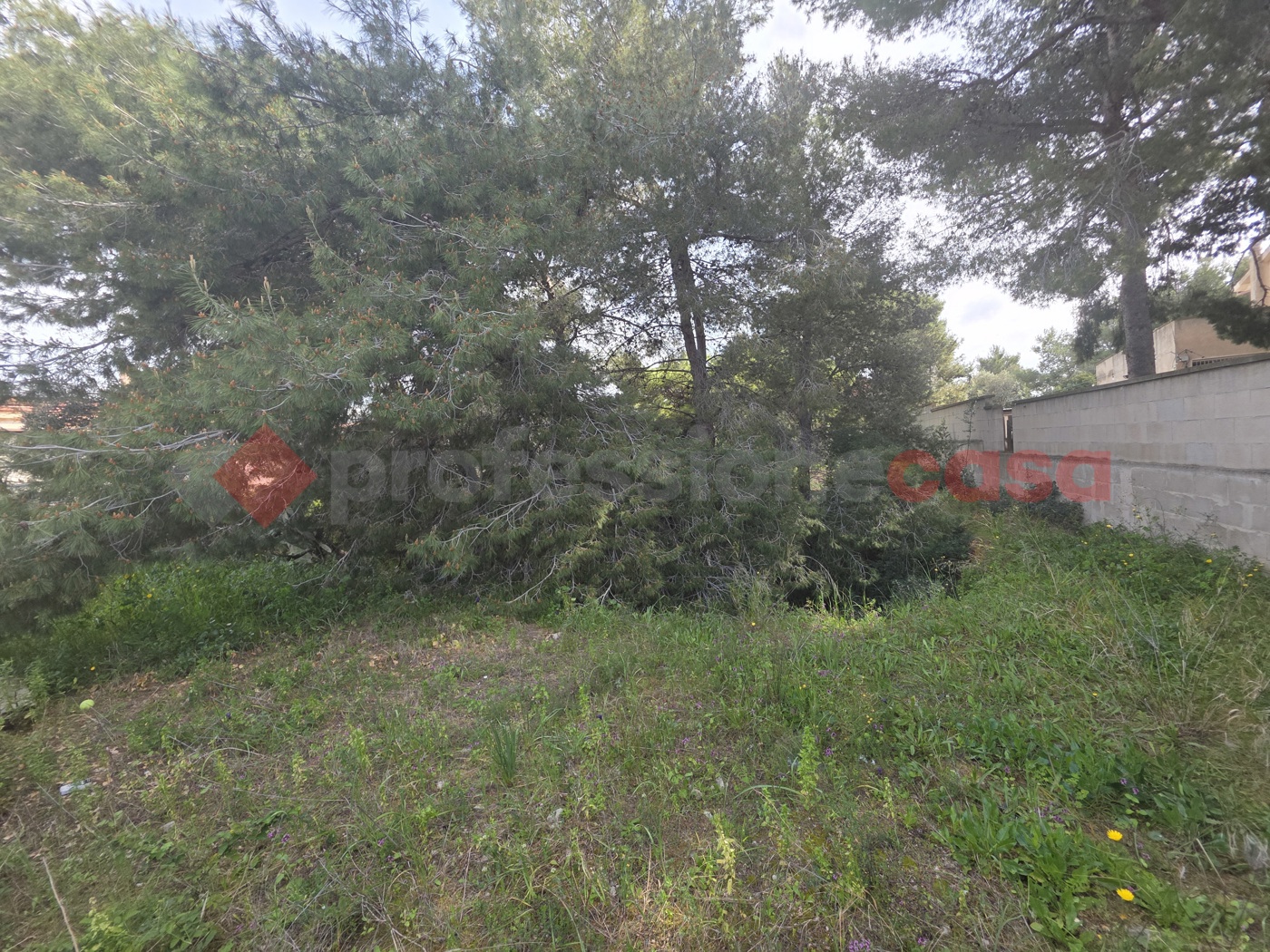 Terreno Edificabile in vendita a Statte