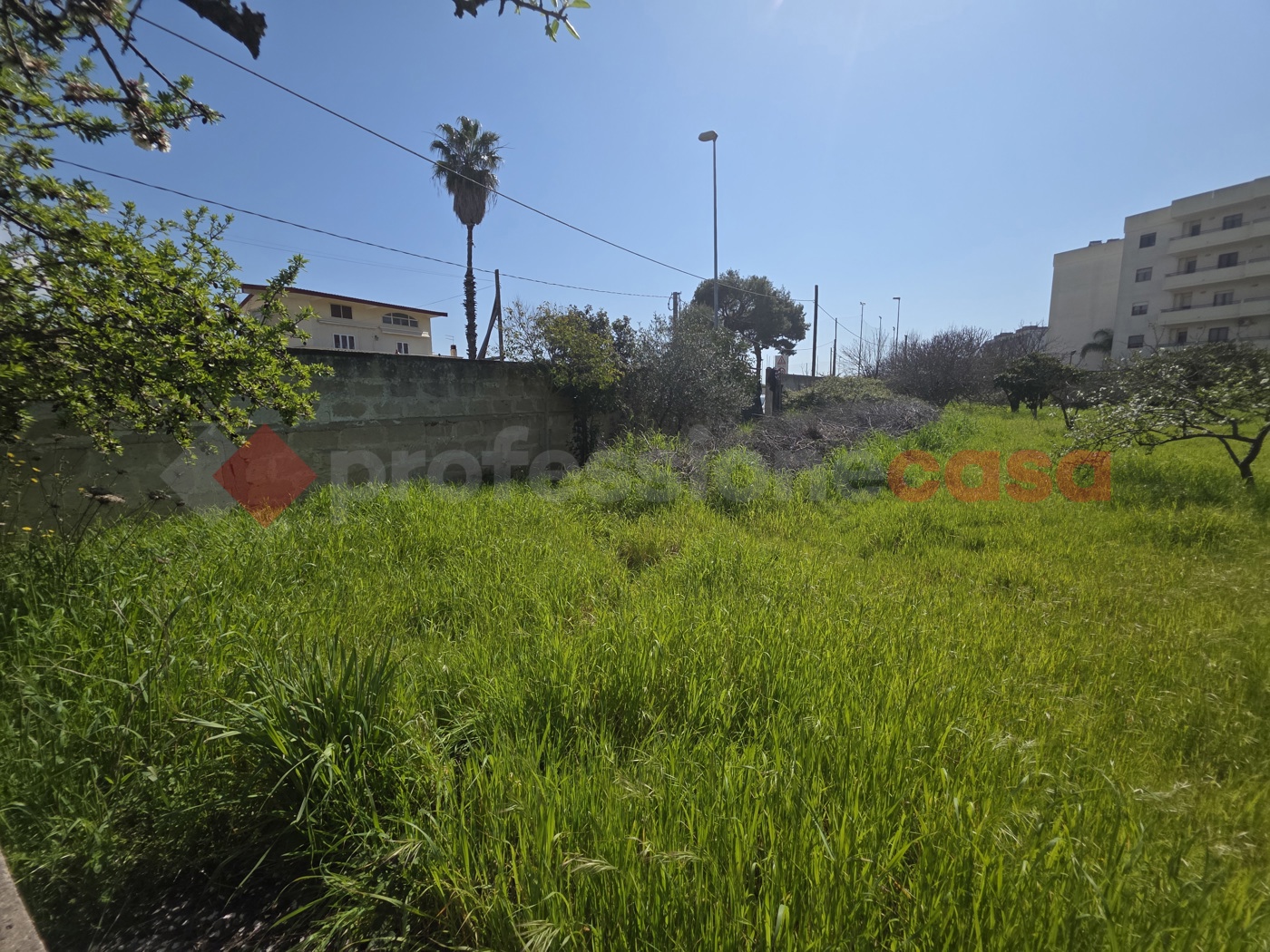 Terreno Agricolo in vendita a Taranto