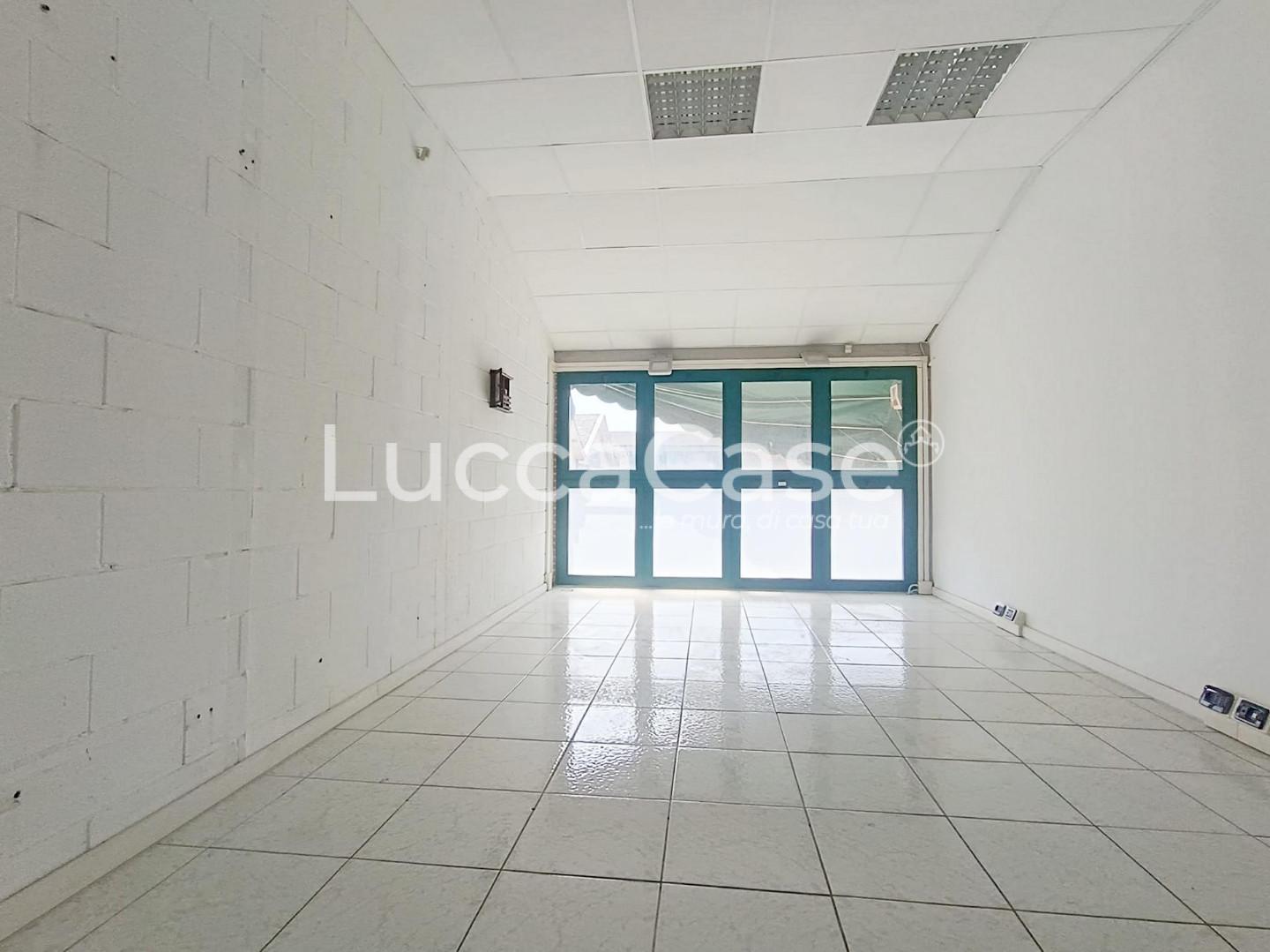 Capannone in vendita a Massarosa