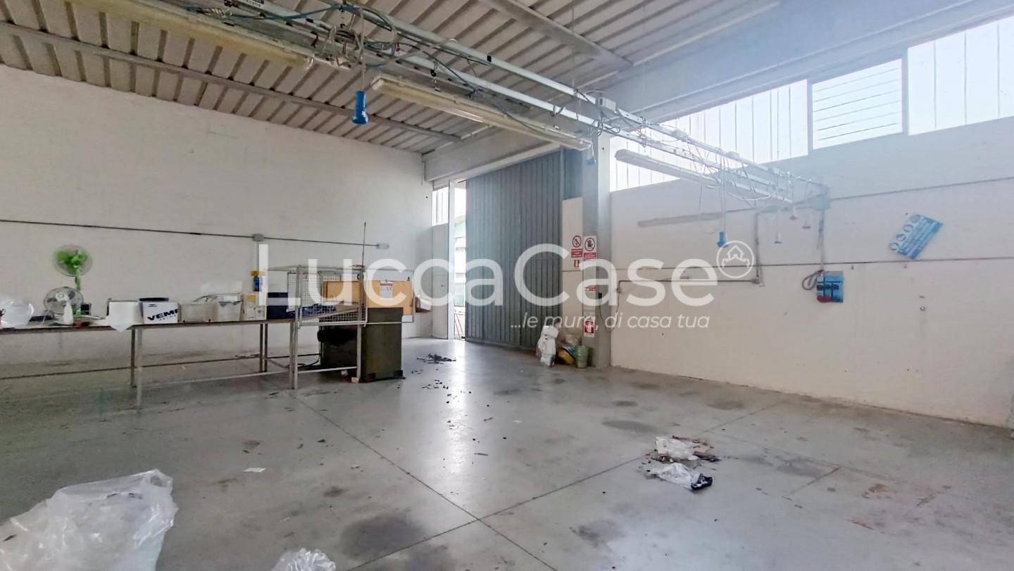 Casa vacanza Monolocale in affitto, Lucca sant'anna