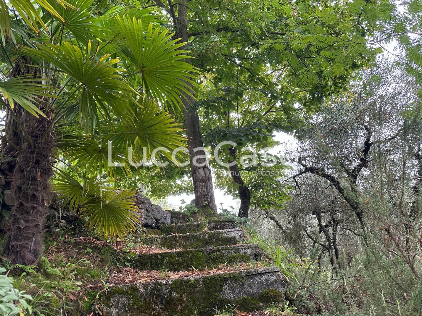 appartamento in vendita a Borgo a Mozzano