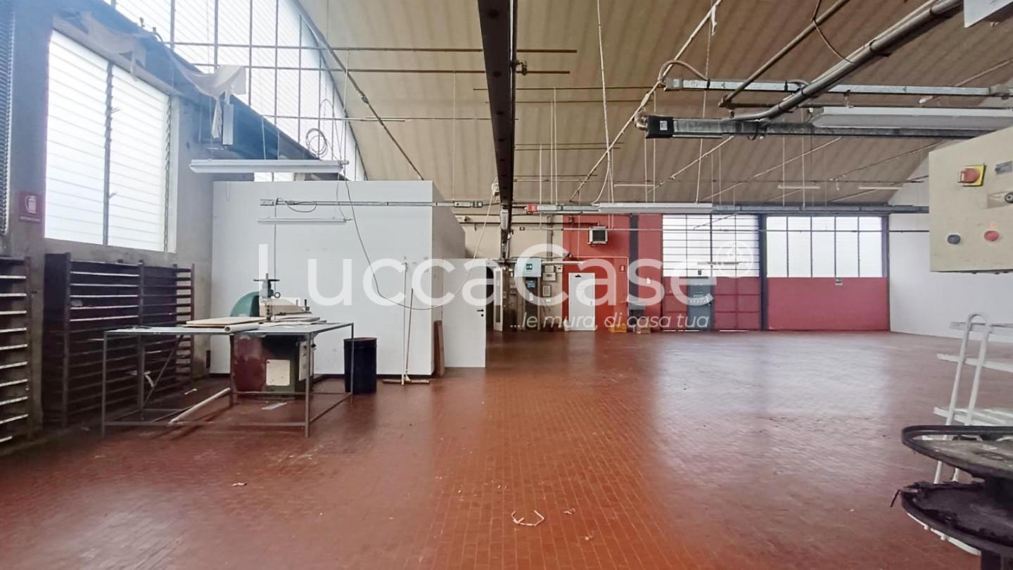 immagine annuncio 4 di 6