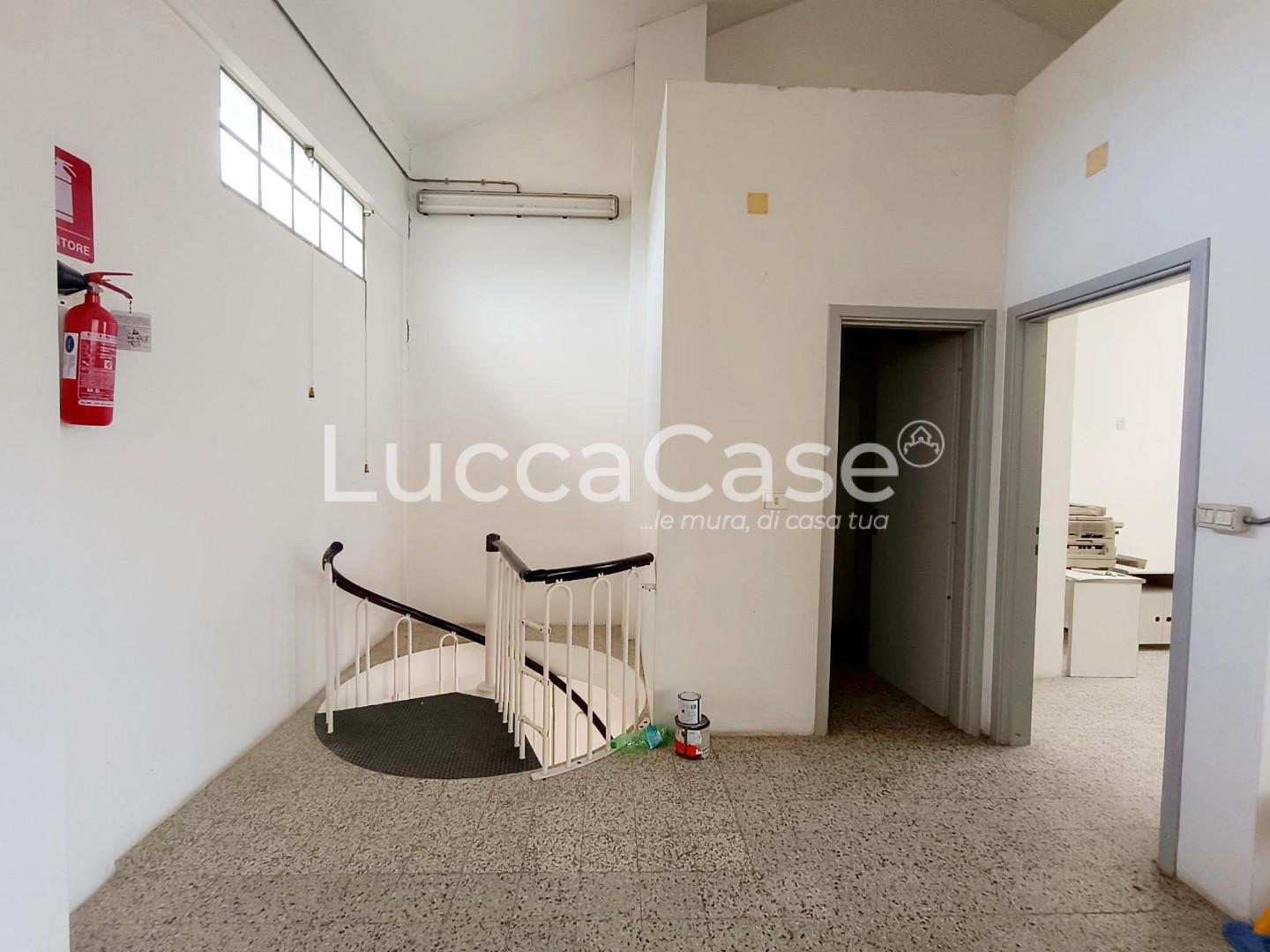 Laboratorio in vendita a Massarosa