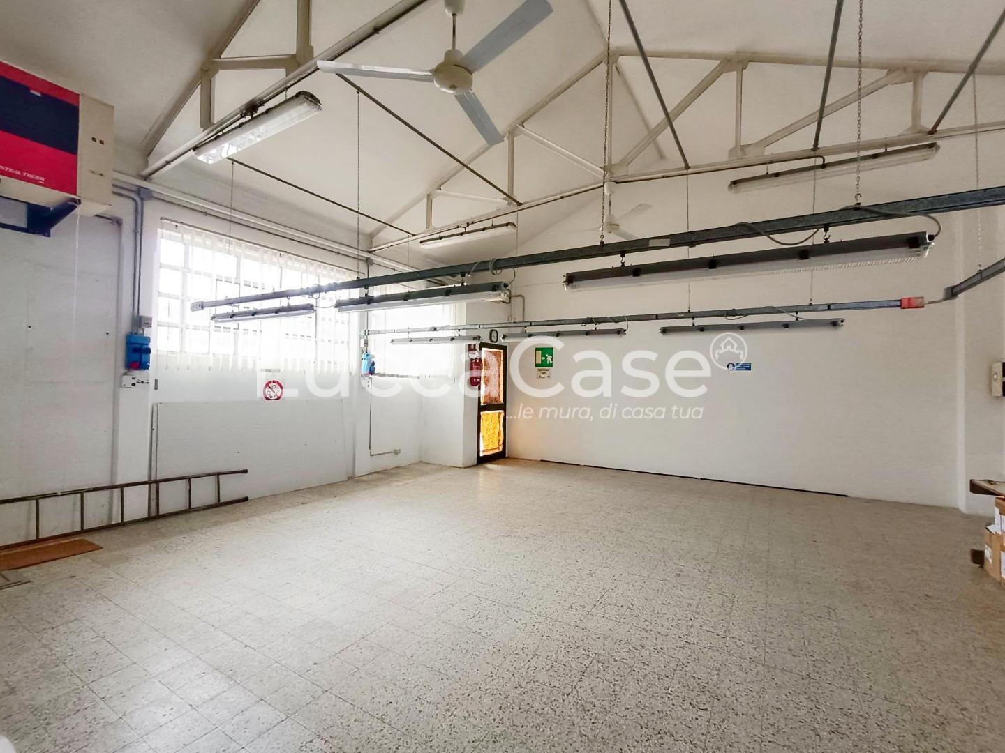 Laboratorio in vendita a Massarosa