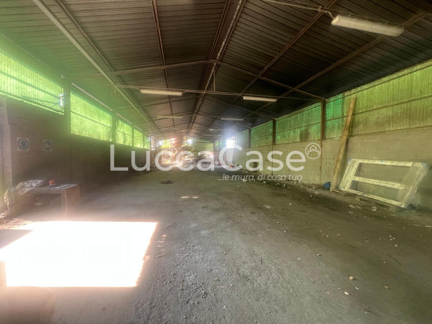 Casa vacanza Monolocale da ristrutturare, Capannori santa margherita