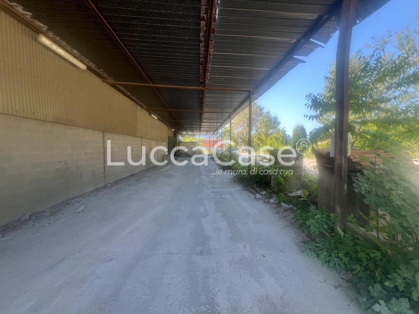 Casa vacanza Monolocale da ristrutturare, Capannori santa margherita