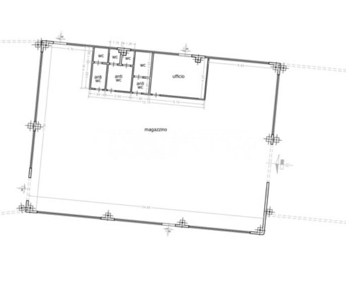 Capannone nuova a Capannori