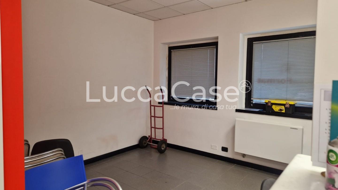 immagine annuncio 4 di 6