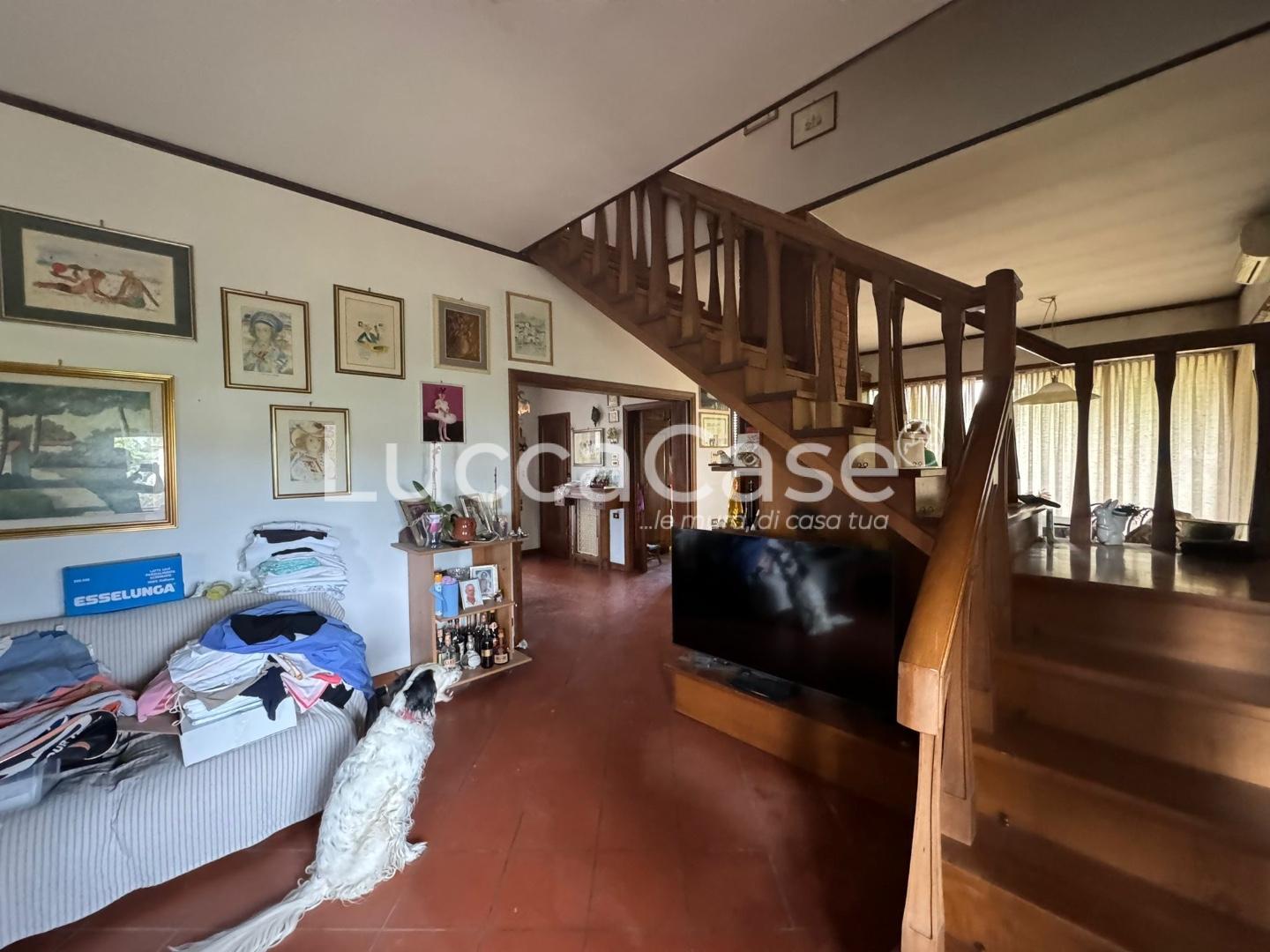 Villa con giardino, Lucca antraccoli