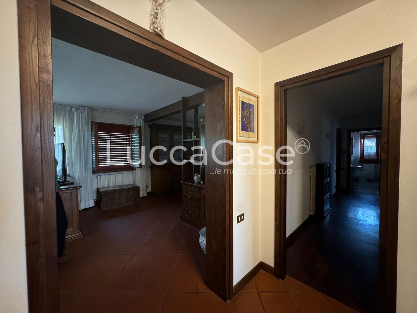 Villa con giardino, Lucca antraccoli