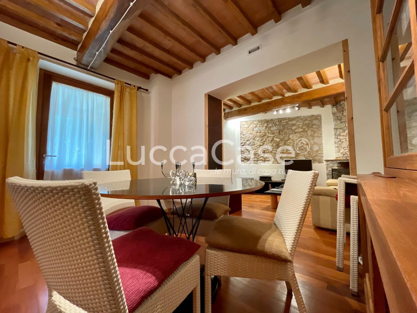 Rustico con giardino, Camaiore santa maria albiano