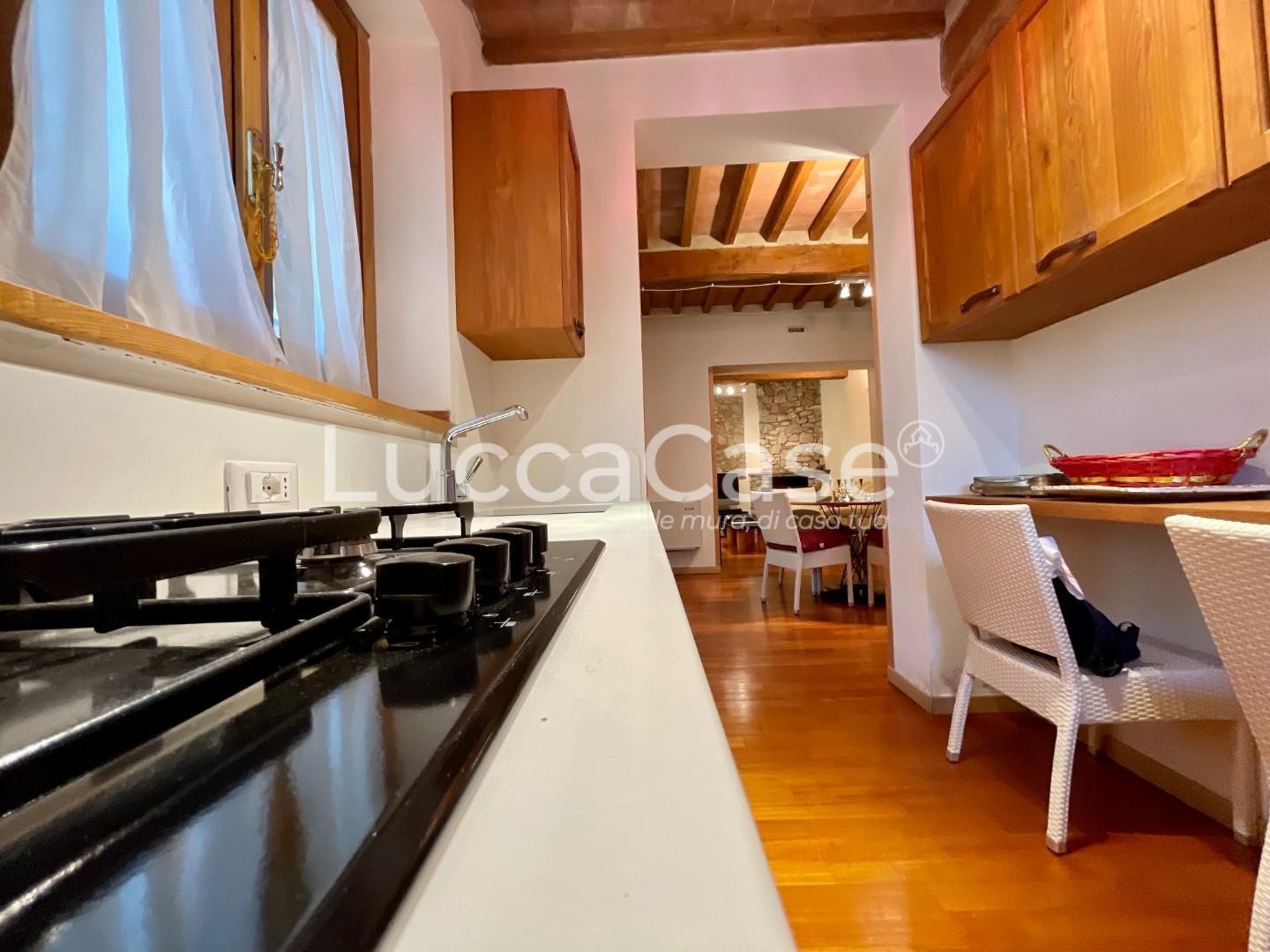 Rustico con giardino, Camaiore santa maria albiano