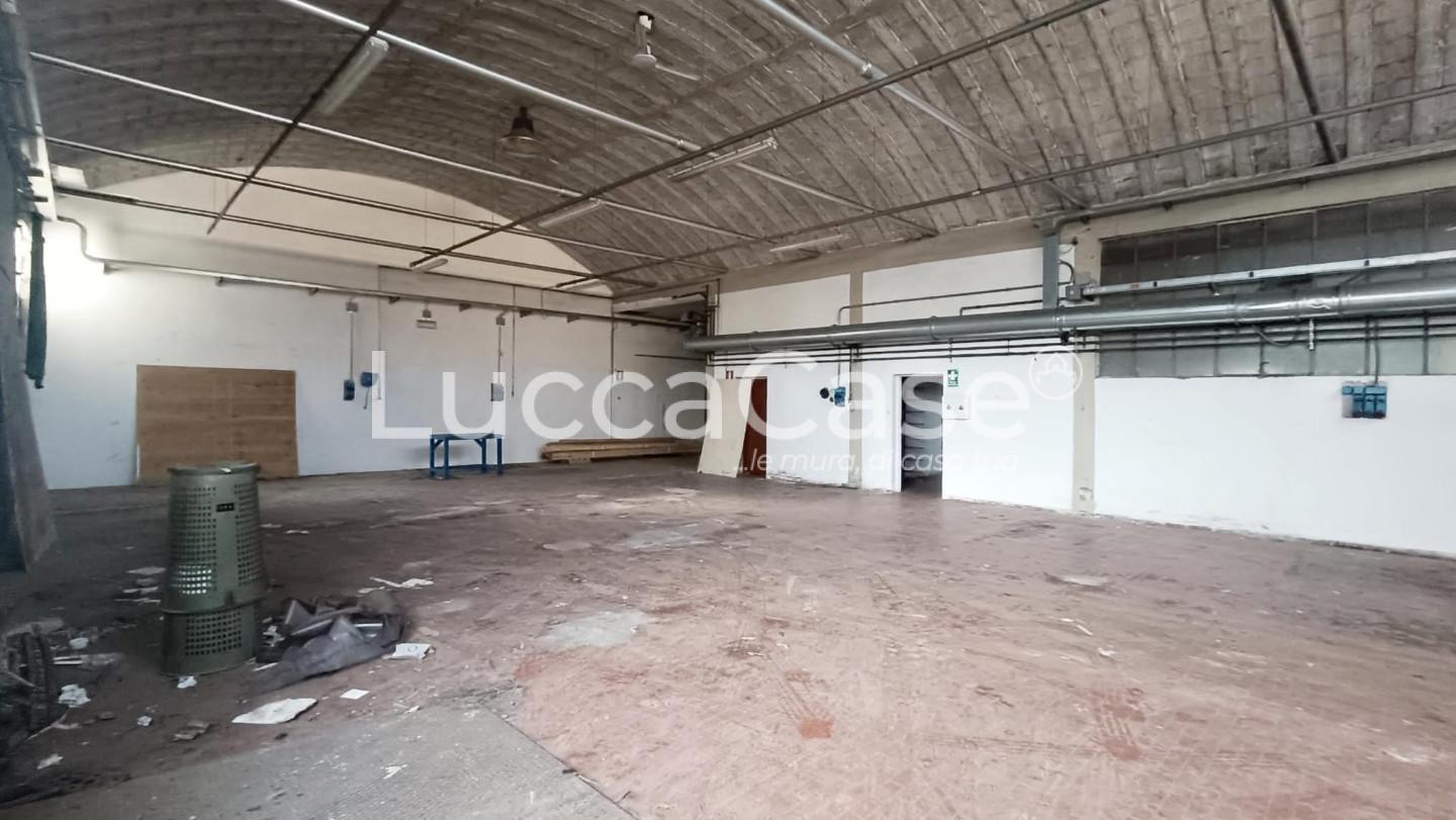 Capannone in affitto a Capannori