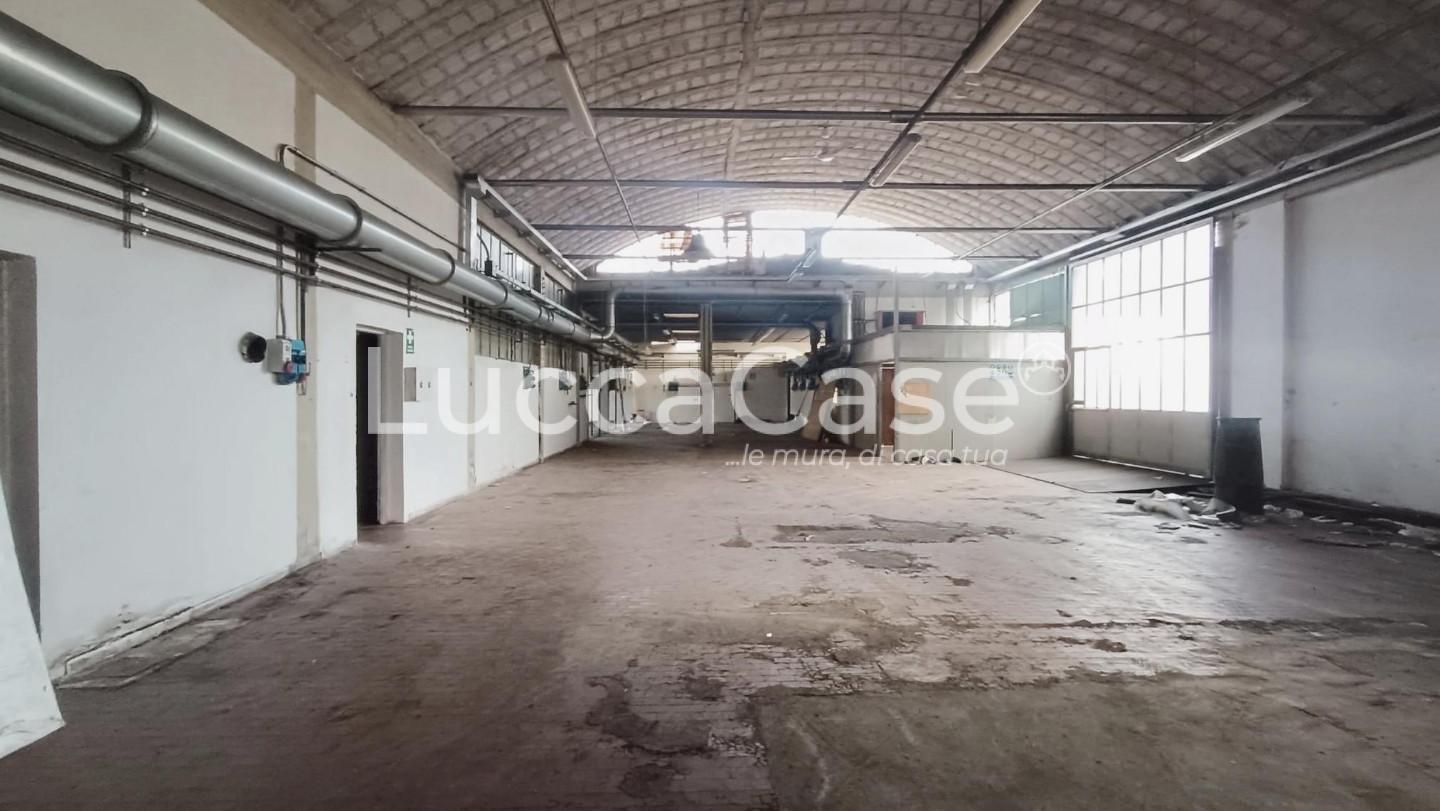 Capannone in affitto a Capannori