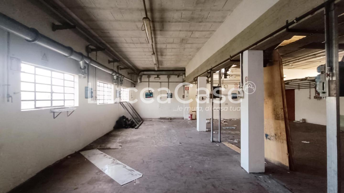 Capannone in affitto a Capannori