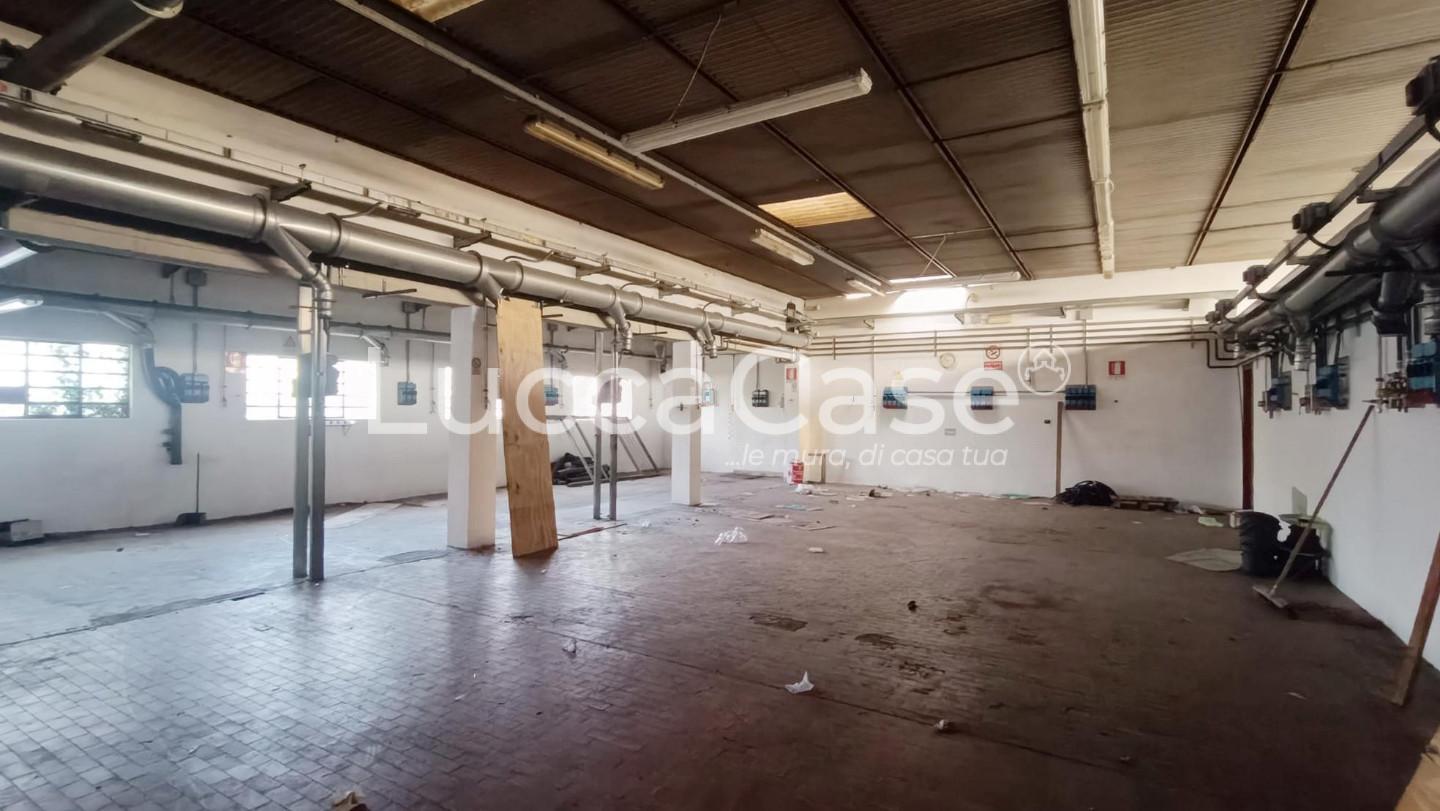 Capannone in affitto a Capannori