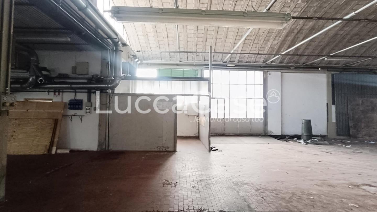 Capannone in affitto a Capannori