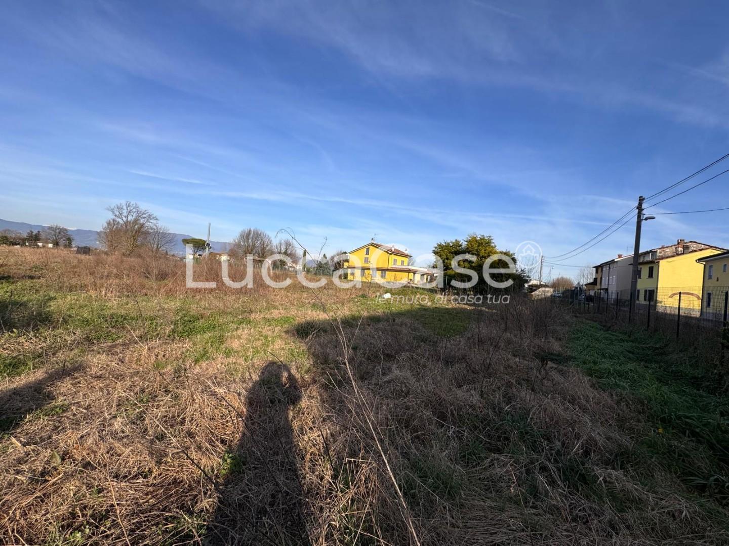 Terreno Agricolo in vendita, Capannori toringo