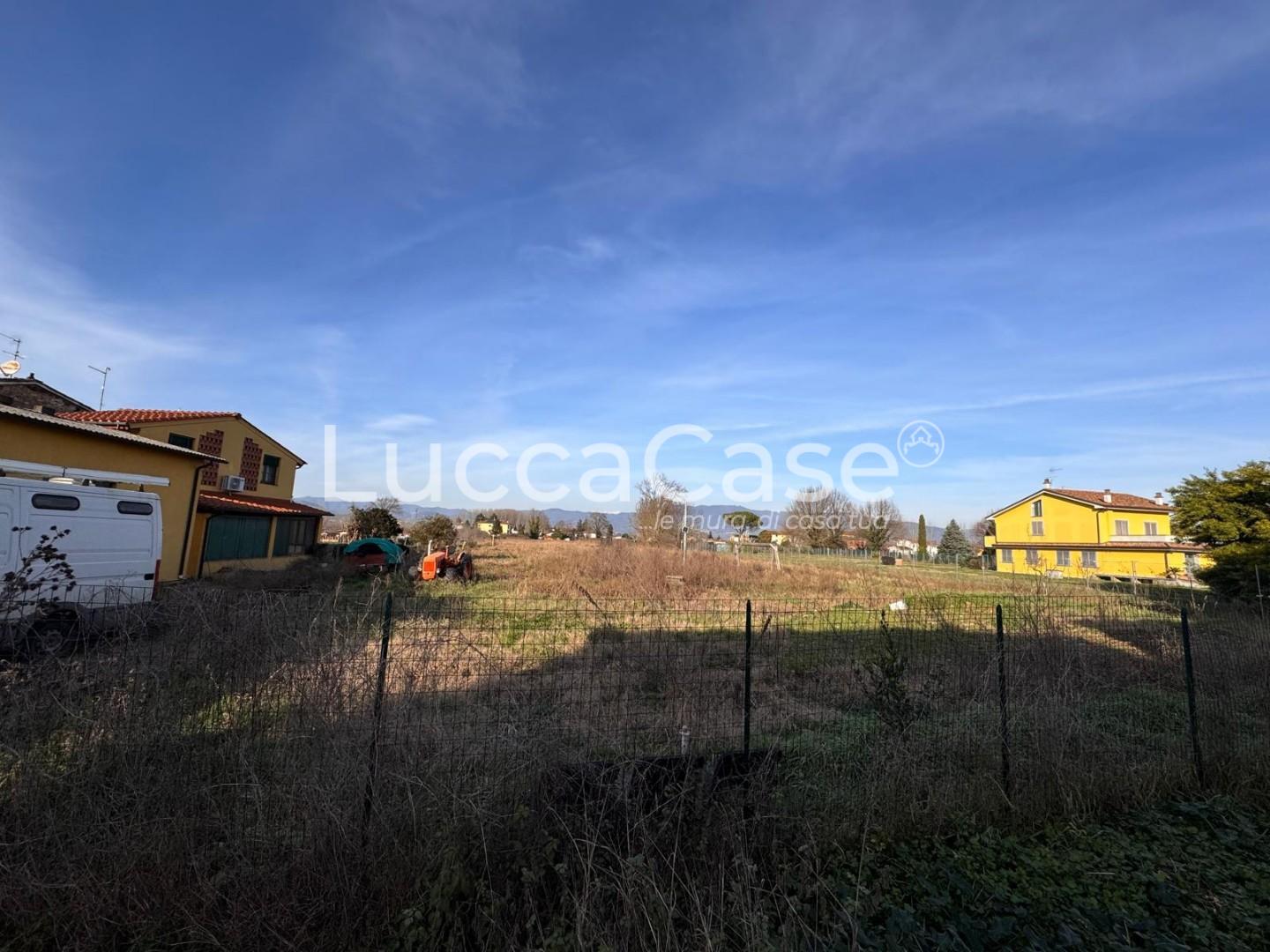 immagine annuncio 4 di 6