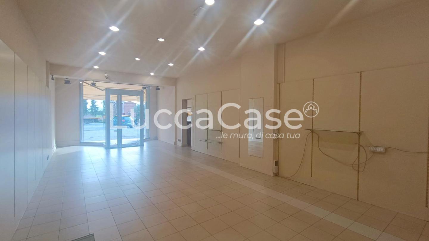 Locale commerciale in affitto, Capannori zone