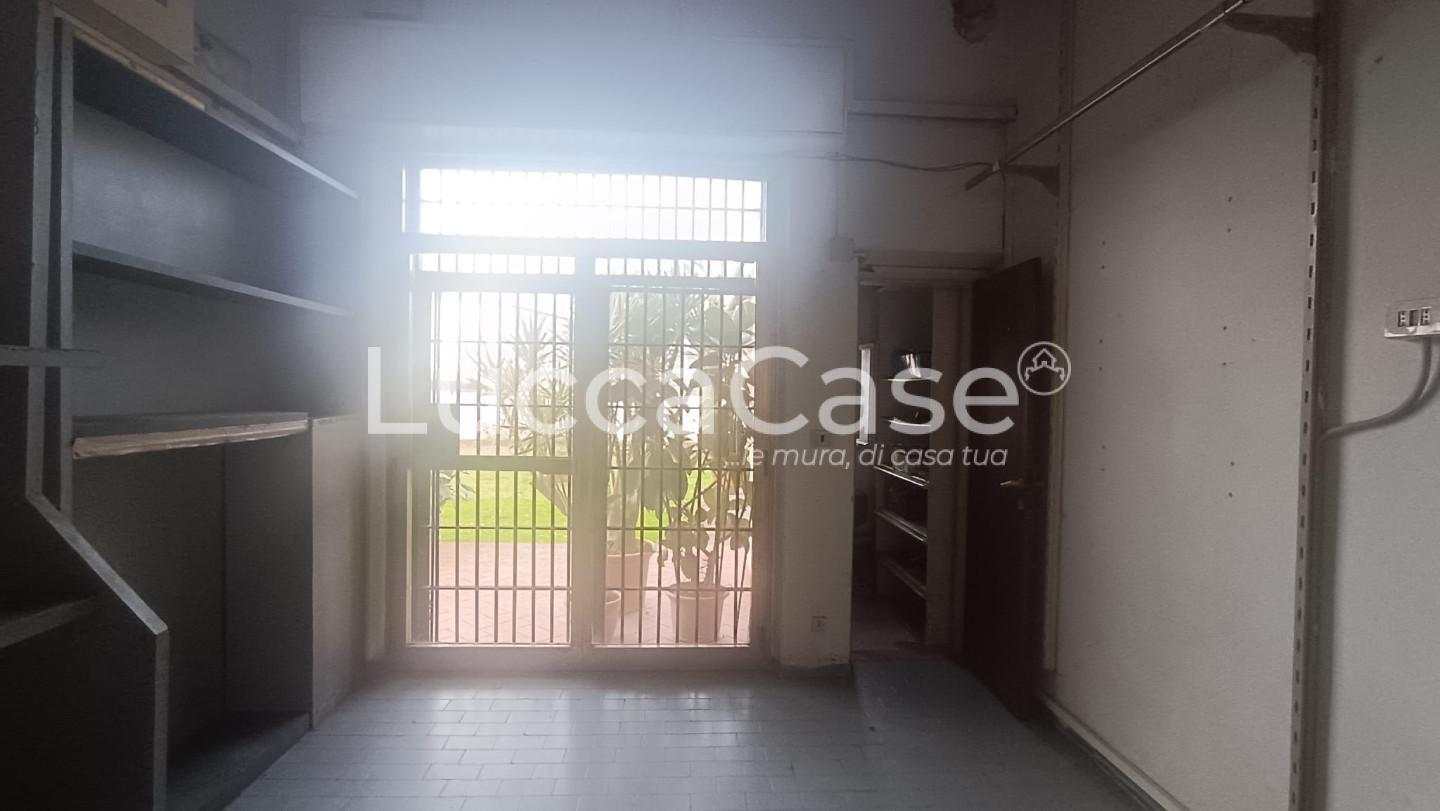 Locale commerciale in affitto, Capannori zone