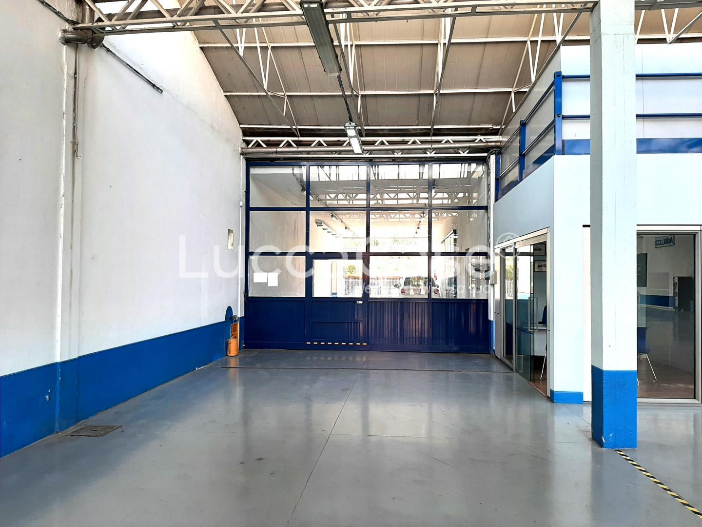 Capannone in affitto, Lucca san concordio contrada