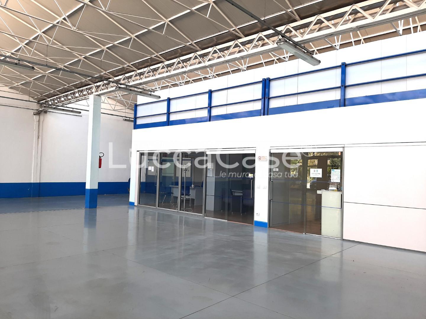 Capannone in affitto, Lucca san concordio contrada