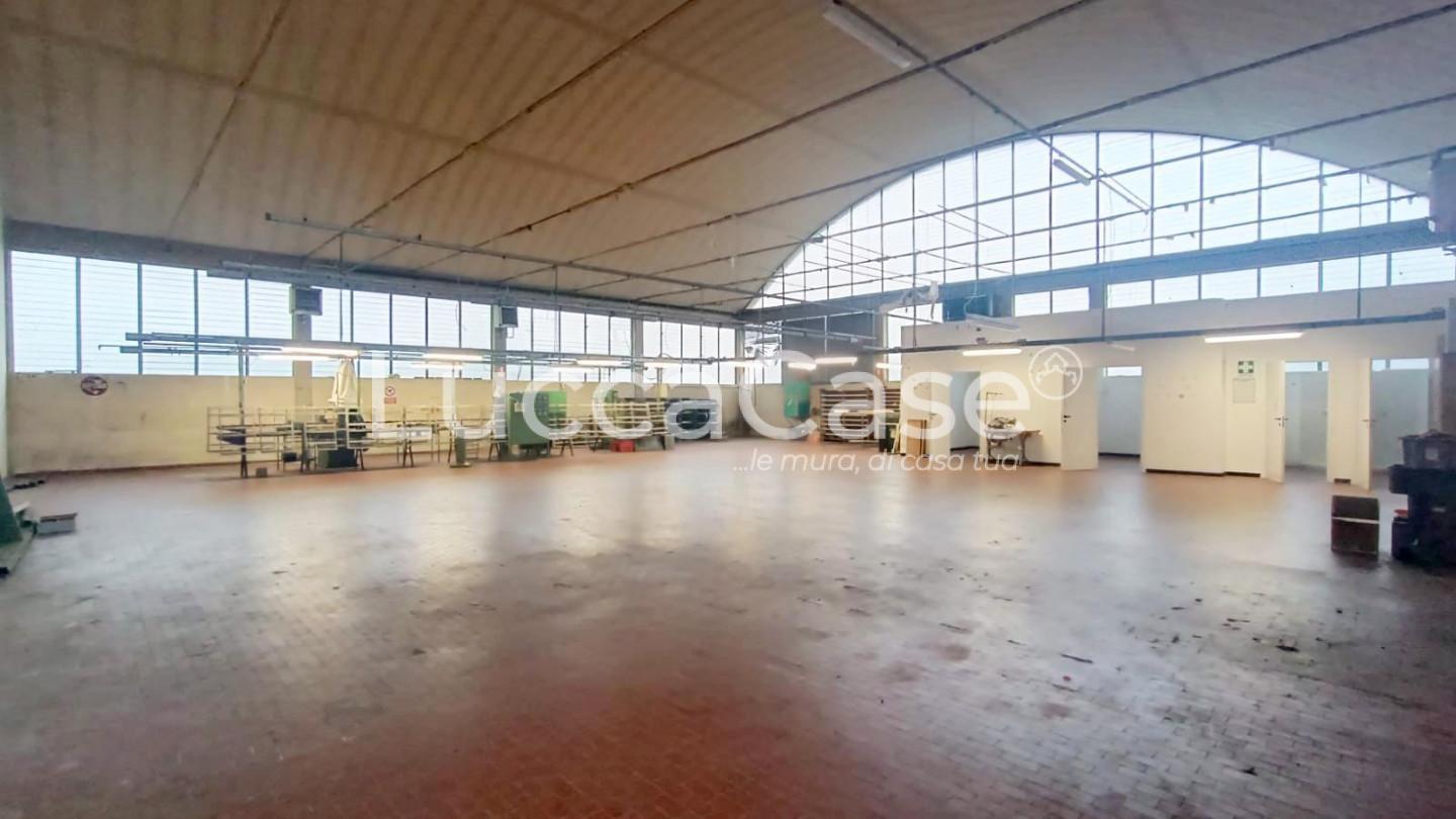 Capannone in affitto a Capannori